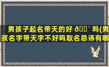 男孩子起名带天的好 🌴 吗(男孩名字带天字不好吗取名忌讳有哪些)